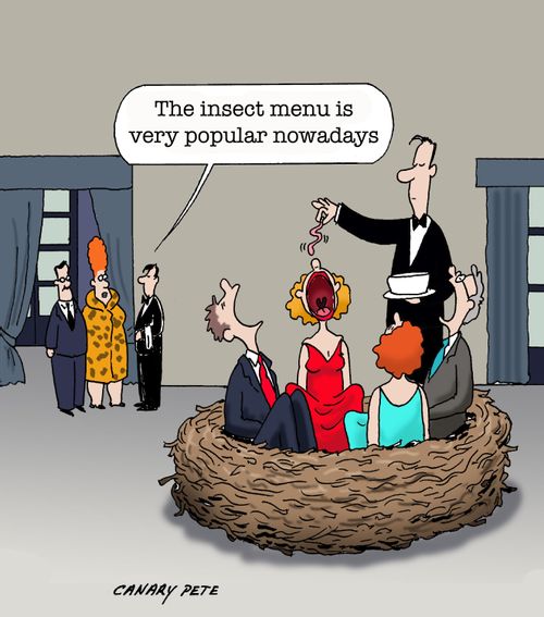 "The insect menu is very popular nowadays."