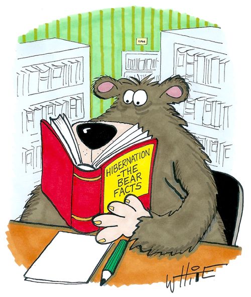 Hibernation: the bear facts