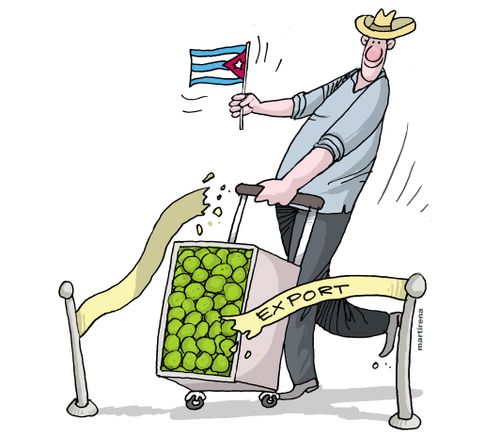 Private producers begin to export in Cuba