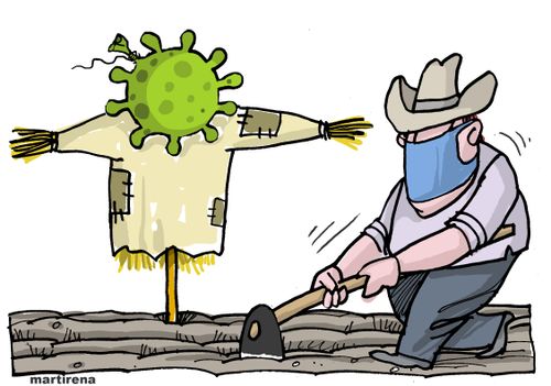 Production in times of pandemic