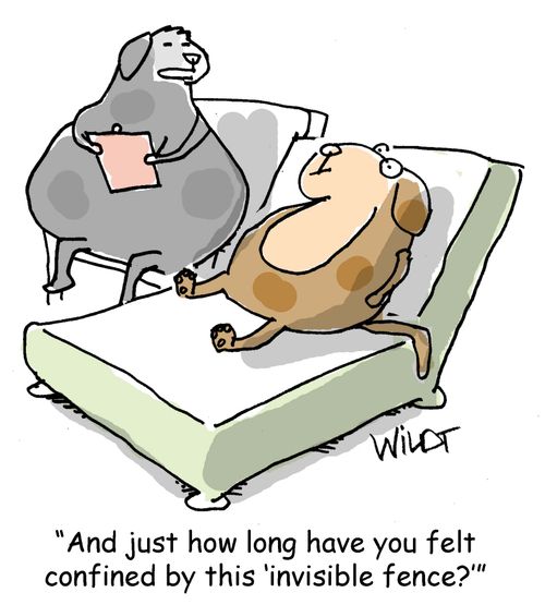 "And just how long have your felt confined by this 'invisible fence'?"