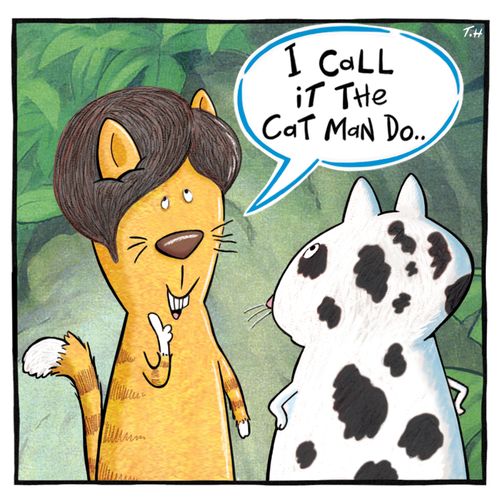 I call it the Cat Man Do.