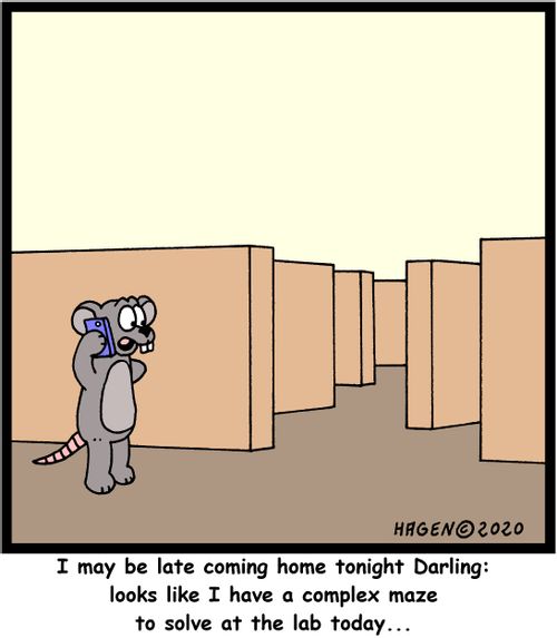 "I may be late coming home tonight Darling: looks like I have a complex maze to solve at the lab today..."