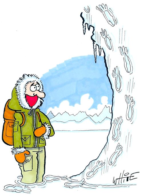 Bigfoot tracks...