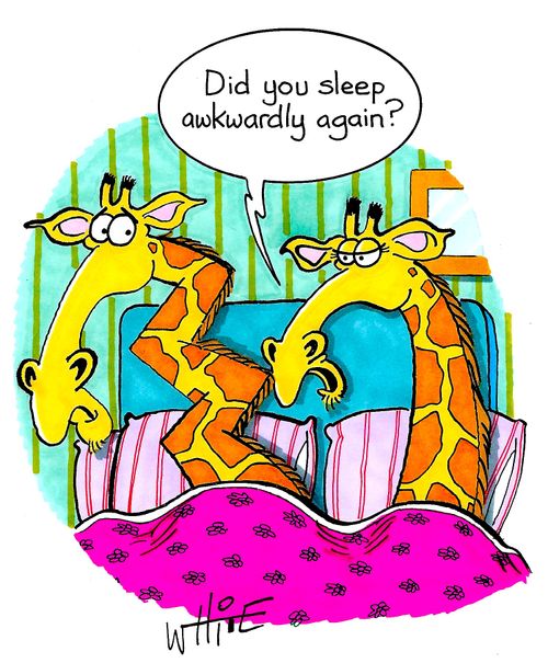 "Did you sleep awkwardly again?"
