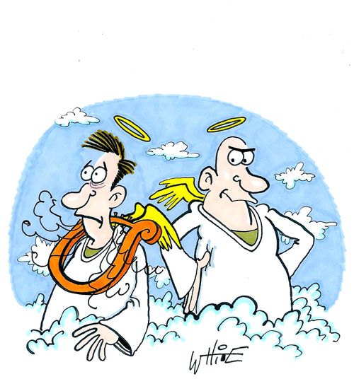 Smashed harp...