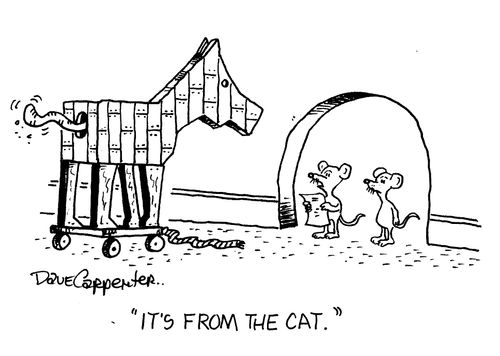 "It's from the cat."