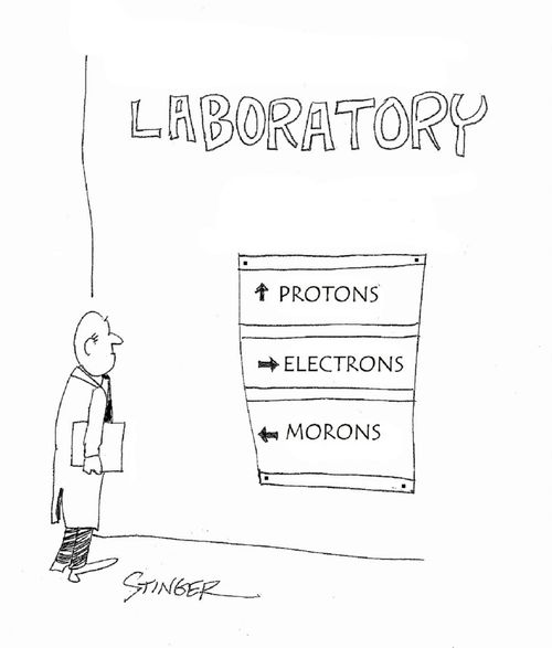 Laboratory: Protons /Electrons/Morons