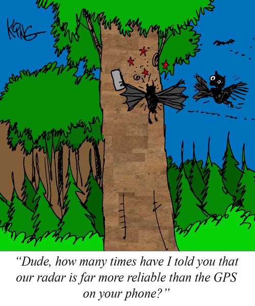 "Dude, how many times have I told you that our radar is far more reliable than the GPS on your phone?"