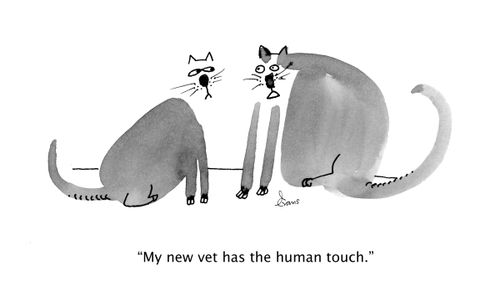 "My new vet has the human touch."
