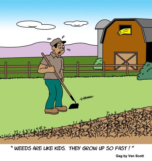 "Weeds are like kids. They grow up so fast."