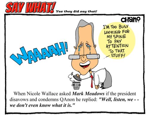 Say What! Mark Meadows
