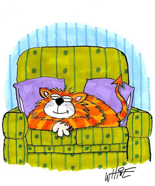 Cat/devil...