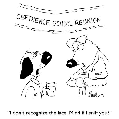 "I don't recognize the face. Mind if I sniff you?"