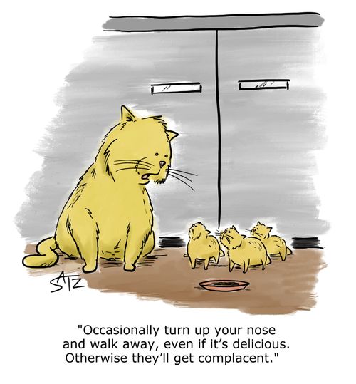 "Occasionally turn up your nose and walk away, even if it's delicious. Otherwise they'll get complacent."