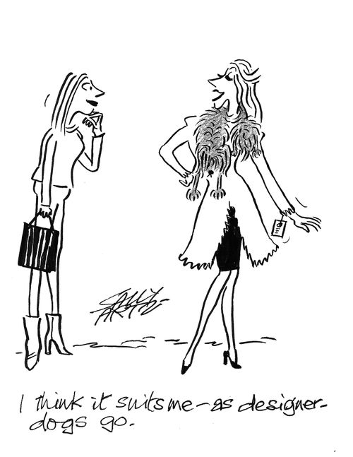 "I think it suits me - as designer dogs go."