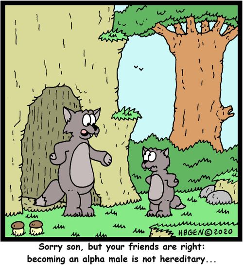 Sorry son, but your friends are right: becoming an alpha male is not hereditary...