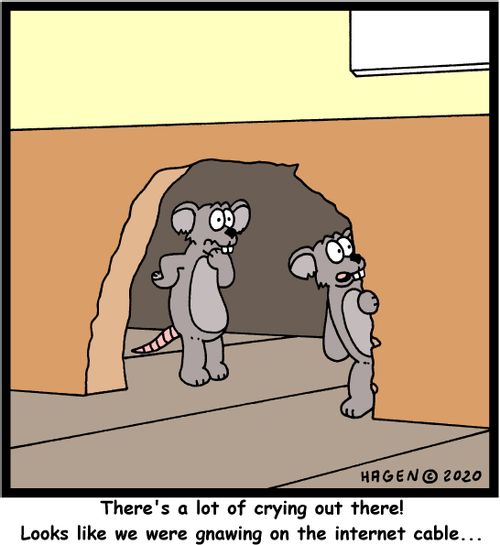 There's a lot of crying out there! Looks like we were gnawing on the internet cable...