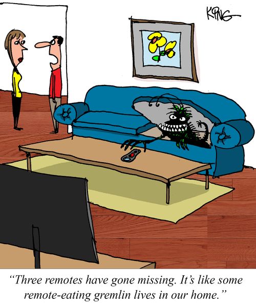 "Three remotes have gone missing. It's like some remote-eating gremlin lives in our home."