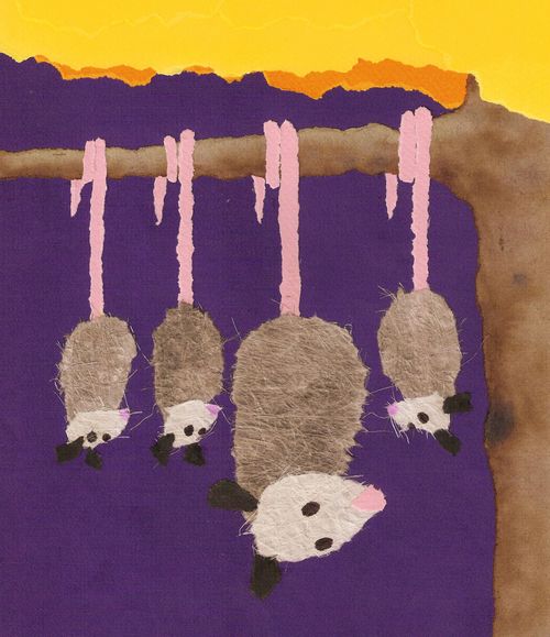 Torn paper opposums