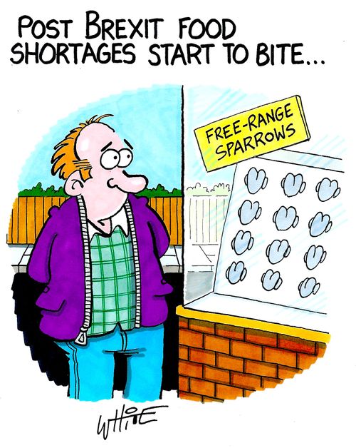 Post Brexit food shortages start to bite