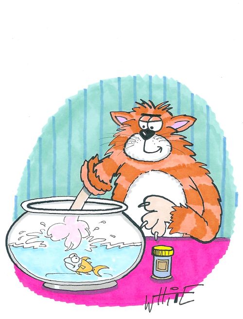 A cat not getting its sleeve wet...