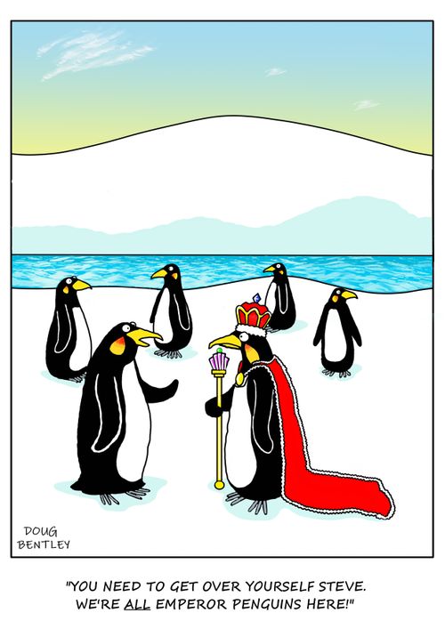 "You need to get over yourself Steve. We're all emperor penguins!"