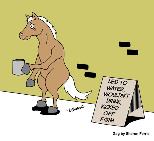 Let to water, wouldn't drink, kicked off farm.
