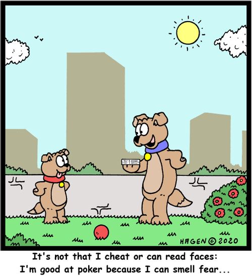It's not that I cheat or read faces: I'm good at poker because I can smell fear...