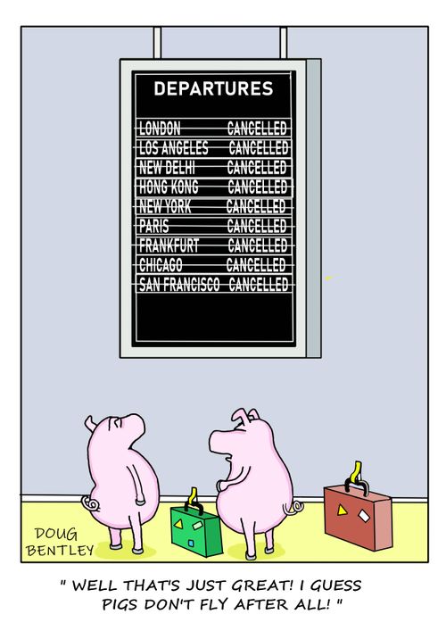 "Well, that's just great! I guess pigs don't fly after all!"