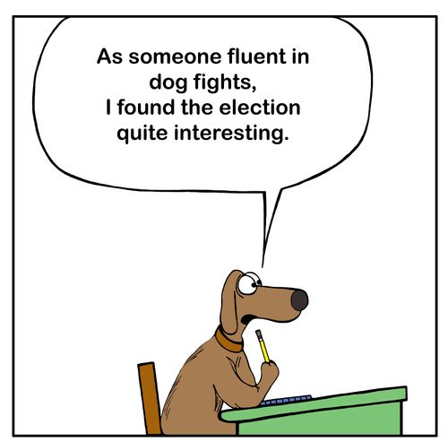 "As someone fluent in dog fights, I found the election quite interesting."