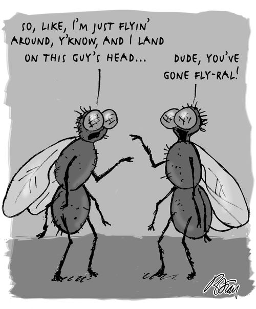 "So, like, I'm just flyin' around, y'know' and I land on this guy's head..." "Dude, you've gone fly-ral!"