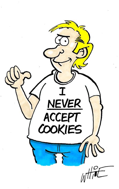 I NEVER accept cookies...