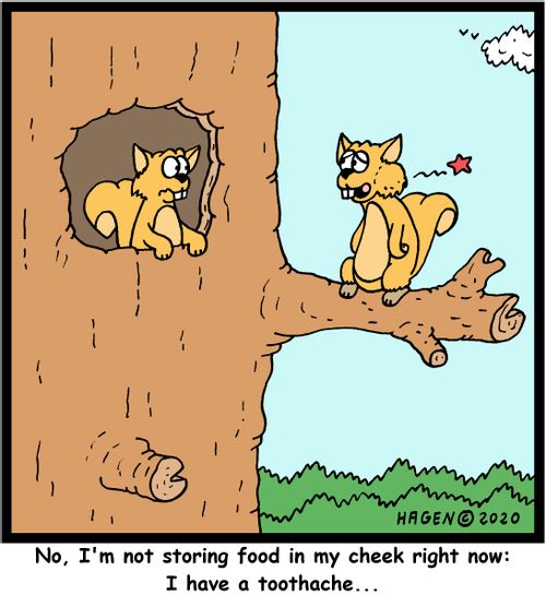 No, I'm not storing food in my cheek right now: I have a toothache...