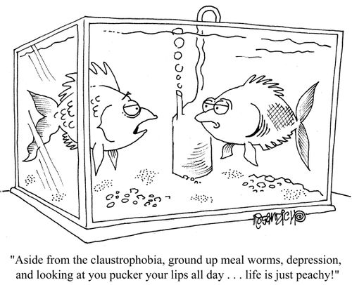 "Aside from the claustrophobia, ground up mealworms, depression, and looking at you pucker your lips all day... life is just peachy!"