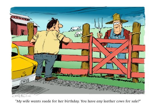 "My wife wants suede for her birthday. You have any leather cows for sale?"