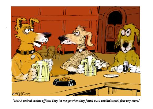 "Me? A retired canine officer. They let me go when they found out I couldn't smell fear any more."