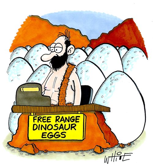 Free range dinosaur eggs