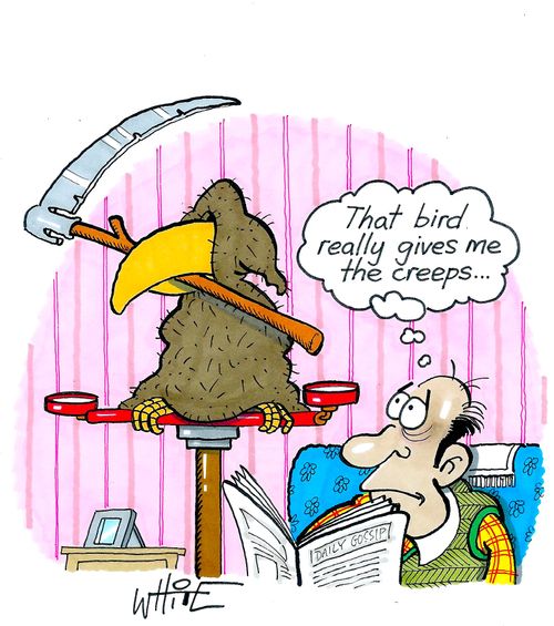 That bird really gives me the creeps...