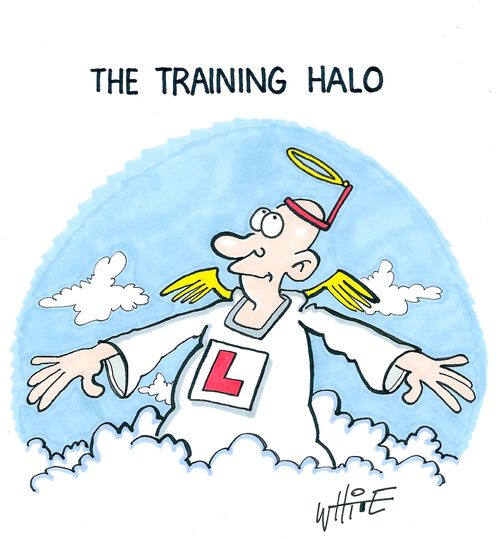 The training halo...
