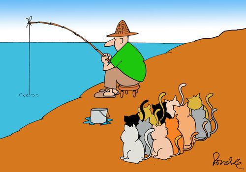 Cats waiting for fish