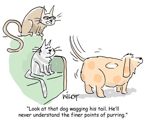 "Look at that dog wagging his tail. He'll never understand the finer points of purring."