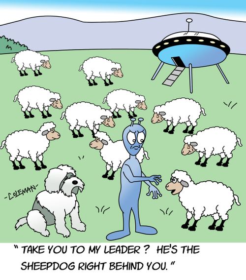 "Take you to my leader? He's the sheepdog right behind you."