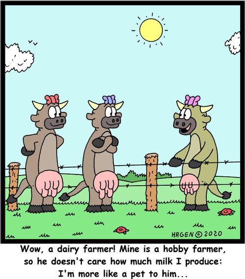 Wow, a dairy farmer! Mine is a hobby farmer, so he doesn't care how much milk I produce: I'm more like a pet to him...