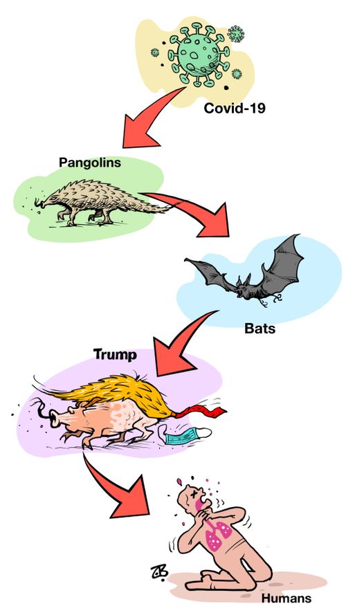 The missing link !