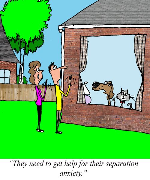 "They need to get help for their separation anxiety."