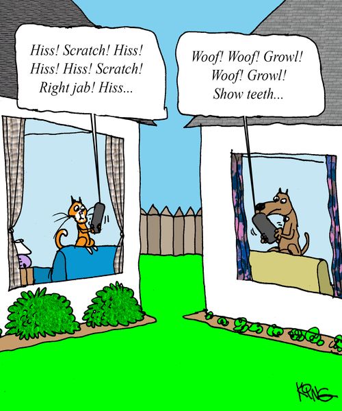 Pet Communication