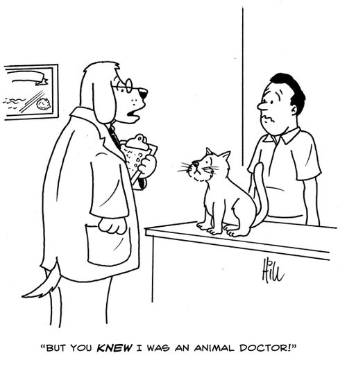 "But You Knew I Was An Animal Doctor!"