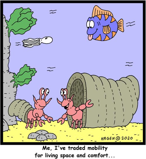 "Me, I've traded mobility for living space and comfort...