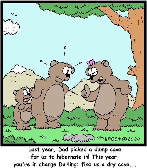 Last year, Dad picked a damp cave for us to hibernate in! This year, you're in charge Darling: find us a dry cave...